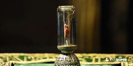 Bir süredir beklenen Sakal-ı Şerif ziyarete açıldı