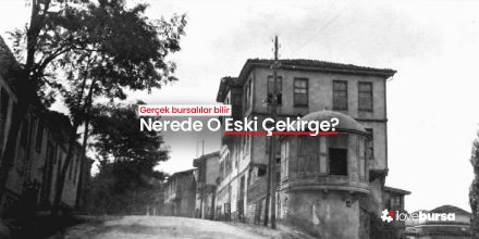Nerede O Eski Çekirge?