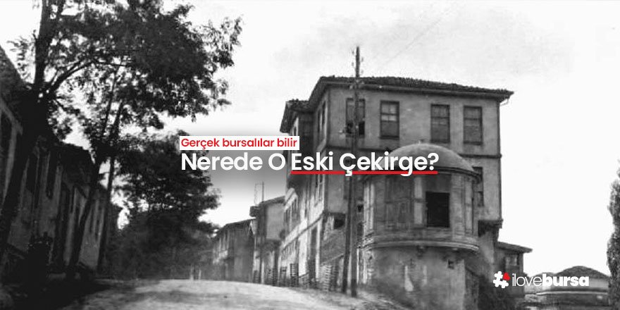 Nerede O Eski Çekirge?